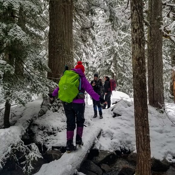 Meet your Posher, Shanel - Picture 16 of 16